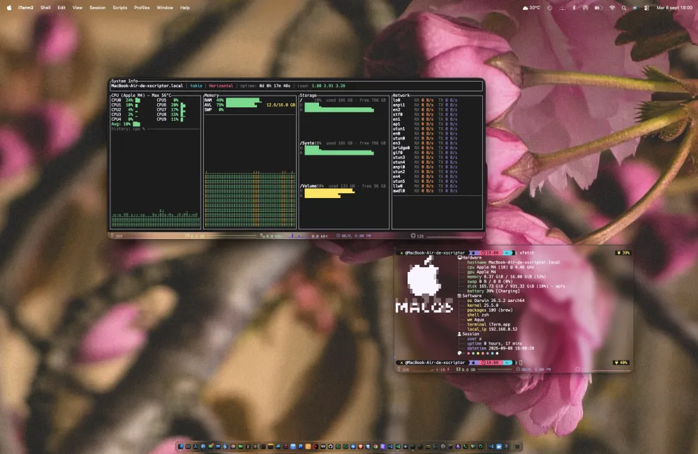 xtop screenshot — Detail Processes