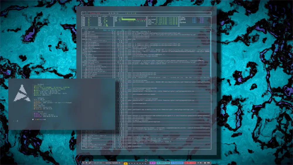 xtop screenshot — Process Focus